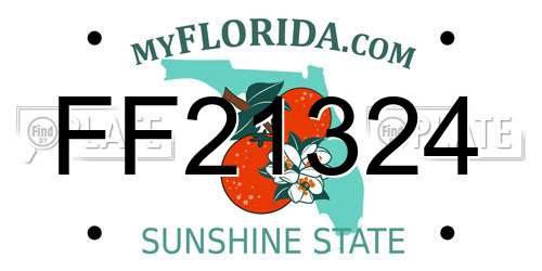 FF21324 Florida License Plate