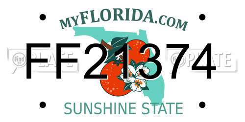 FF21374 Florida License Plate