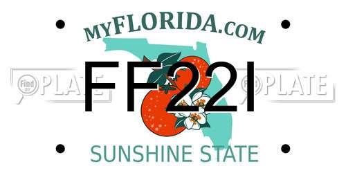 FF22I Florida License Plate