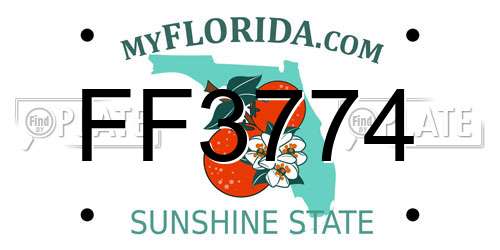 FF3774 Florida License Plate