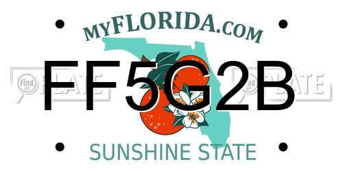 FF5G2B Florida License Plate