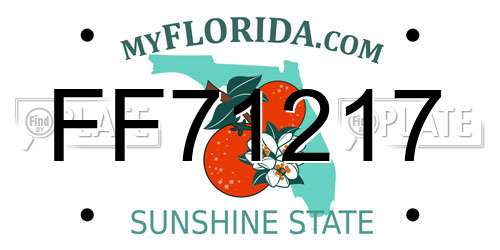 FF71217 Florida License Plate