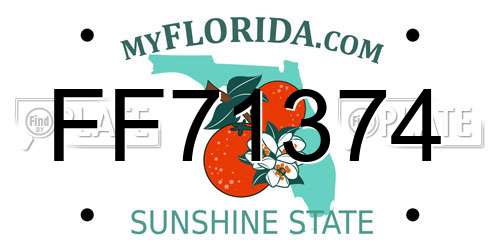FF71374 Florida License Plate