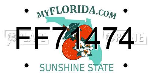 FF71474 Florida License Plate