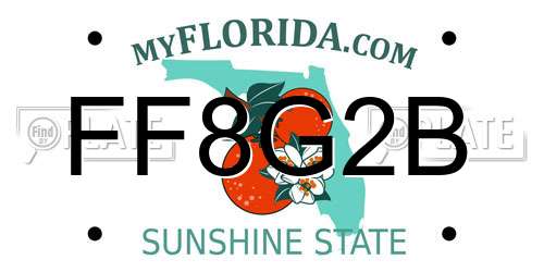 FF8G2B Florida License Plate
