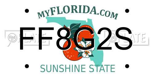 FF8G2S Florida License Plate