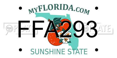 FFA293 Florida License Plate
