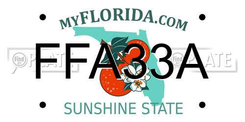 FFA33A Florida License Plate
