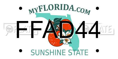 FFAD44 Florida License Plate