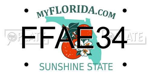 FFAE34 Florida License Plate