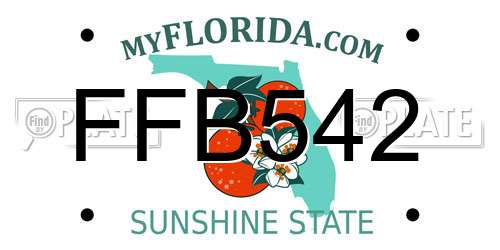 FFB542 Florida License Plate