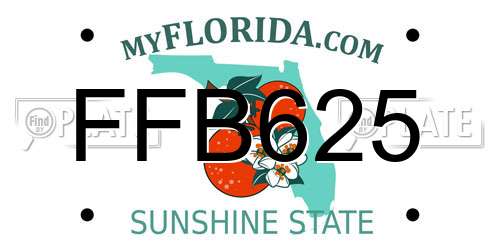FFB625 Florida License Plate
