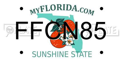FFCN85 Florida License Plate