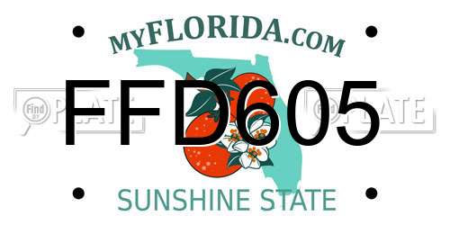 FFD605 Florida License Plate