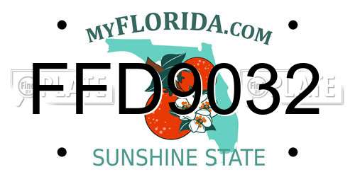 FFD9032 Florida License Plate