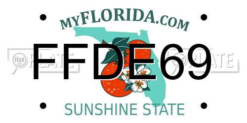 FFDE69 Florida License Plate