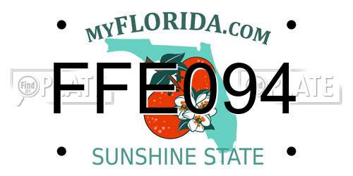 FFE094 Florida License Plate