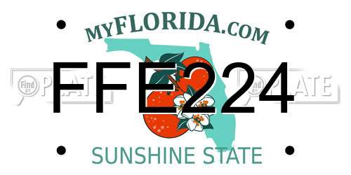 FFE224 Florida License Plate