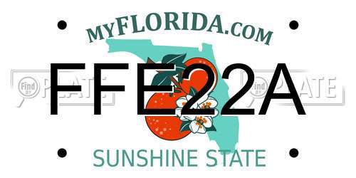 FFE22A Florida License Plate