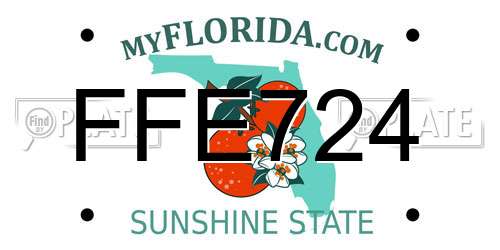 FFE724 Florida License Plate