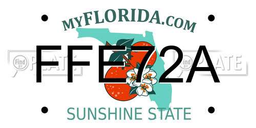 FFE72A Florida License Plate