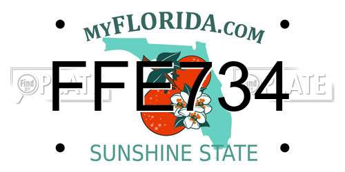 FFE734 Florida License Plate