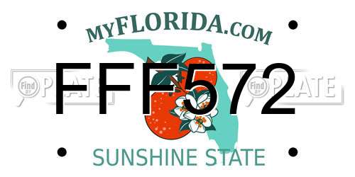 FFF572 Florida License Plate