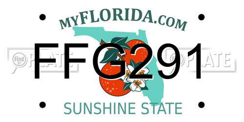FFG291 Florida License Plate