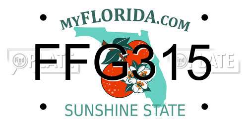 FFG315 Florida License Plate