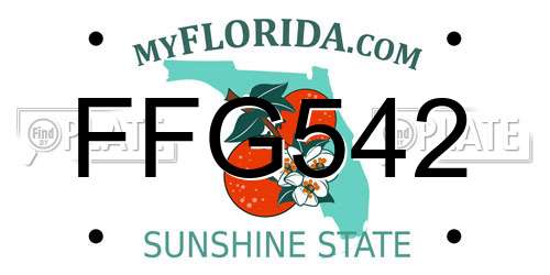 FFG542 Florida License Plate