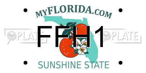 FFH1 Florida License Plate