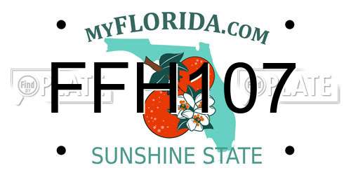 FFH107 Florida License Plate