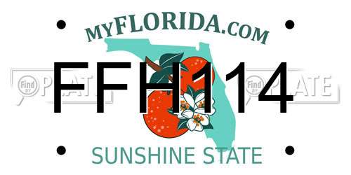 FFH114 Florida License Plate