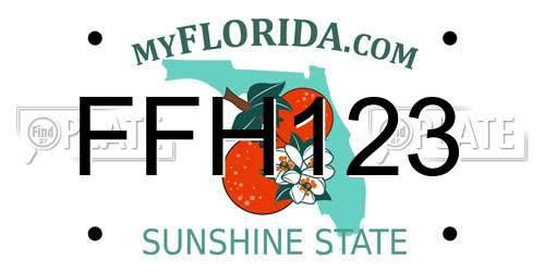 FFH123 Florida License Plate