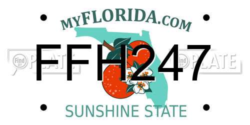 FFH247 Florida License Plate