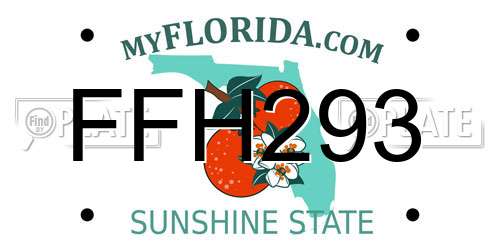 FFH293 Florida License Plate