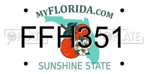 FFH351 Florida License Plate