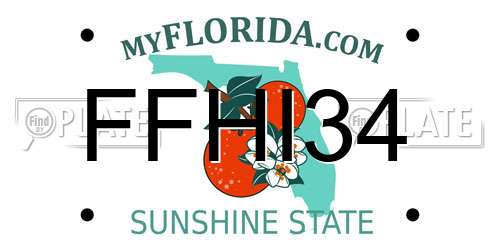 FFHI34 Florida License Plate
