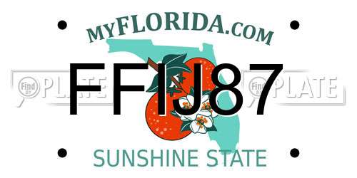 FFIJ87 Florida License Plate
