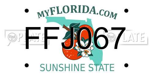 FFJ067 Florida License Plate