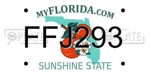 FFJ293 Florida License Plate