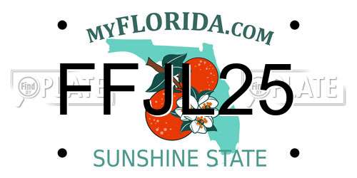 FFJL25 Florida License Plate