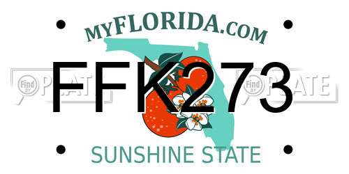 FFK273 Florida License Plate