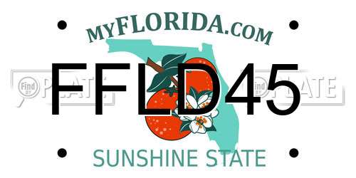 FFLD45 Florida License Plate