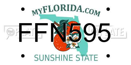 FFN595 Florida License Plate