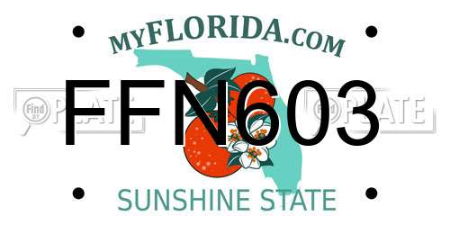 FFN603 Florida License Plate
