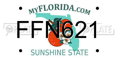 FFN621 Florida License Plate