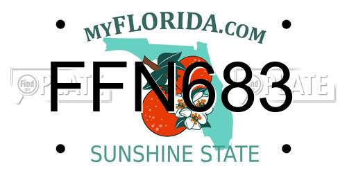 FFN683 Florida License Plate