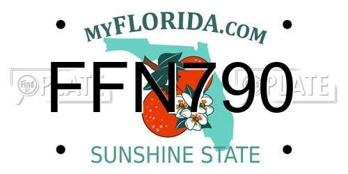 FFN790 Florida License Plate