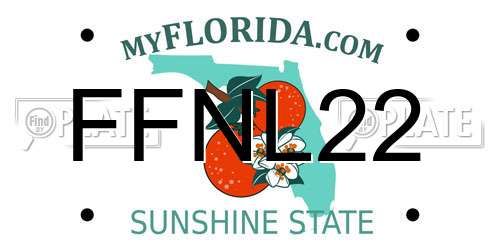 FFNL22 Florida License Plate